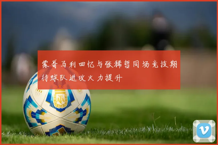蒙哥马利回忆与张稀哲同场竞技期待球队进攻火力提升