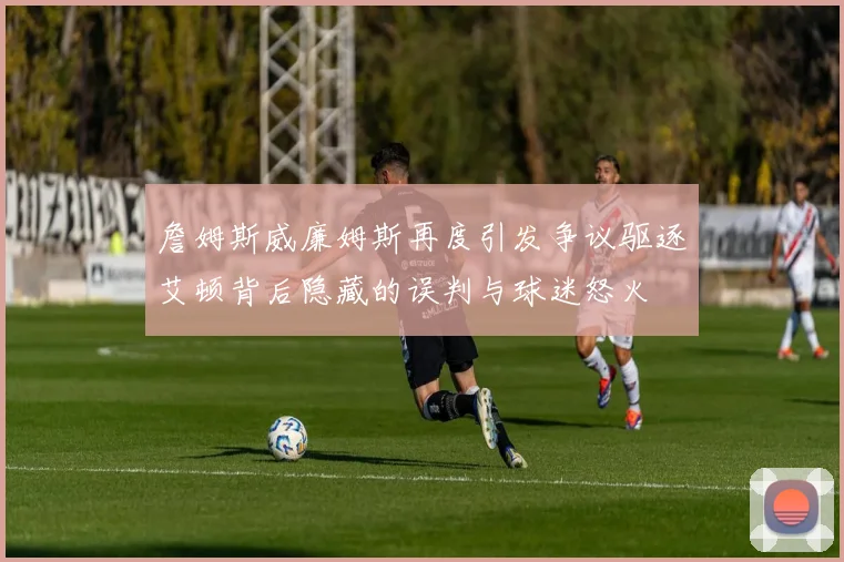 詹姆斯威廉姆斯再度引发争议驱逐艾顿背后隐藏的误判与球迷怒火